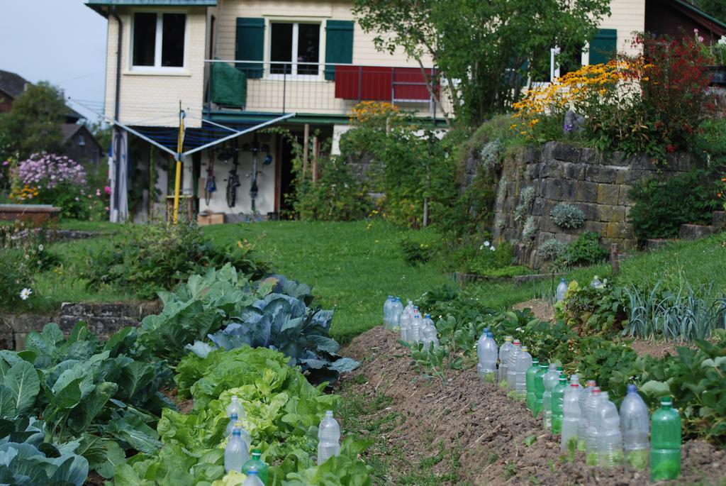Sonnmatt Bergpension & Gesundheitszentrum Ebnat-Kappel Exterior photo